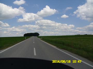 Turkey (347)